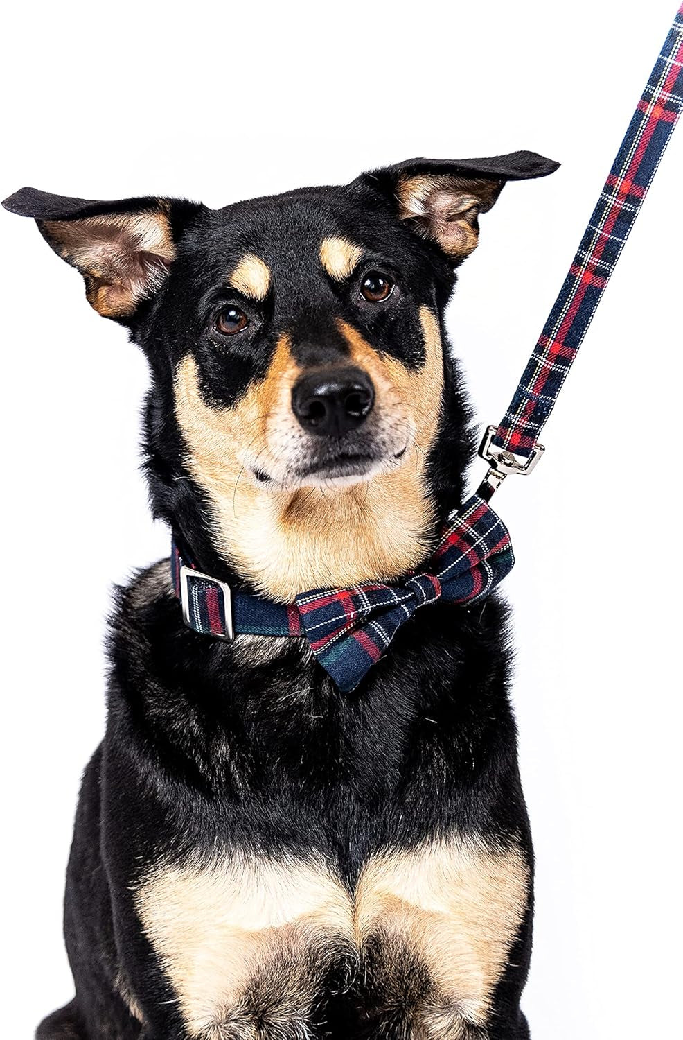 Scottish Tartan Bowtie Dog Collar & Leash Set with Detachable Bow Tie for Girl or Boy Dogs Comfortable Plaid Pattern, Fully Adjustable, Great Pet Gift