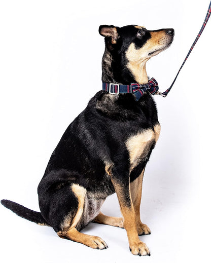 Scottish Tartan Bowtie Dog Collar & Leash Set with Detachable Bow Tie for Girl or Boy Dogs Comfortable Plaid Pattern, Fully Adjustable, Great Pet Gift